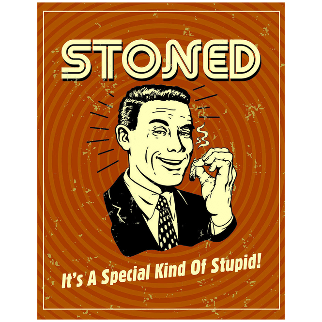 Hovedbilde Special Kind of Stupid