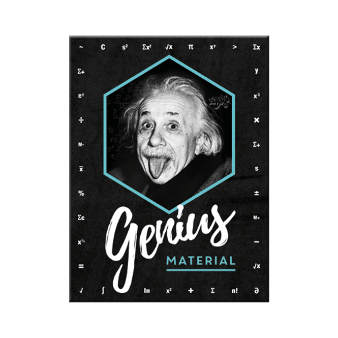 Hovedbilde Einstein Genius