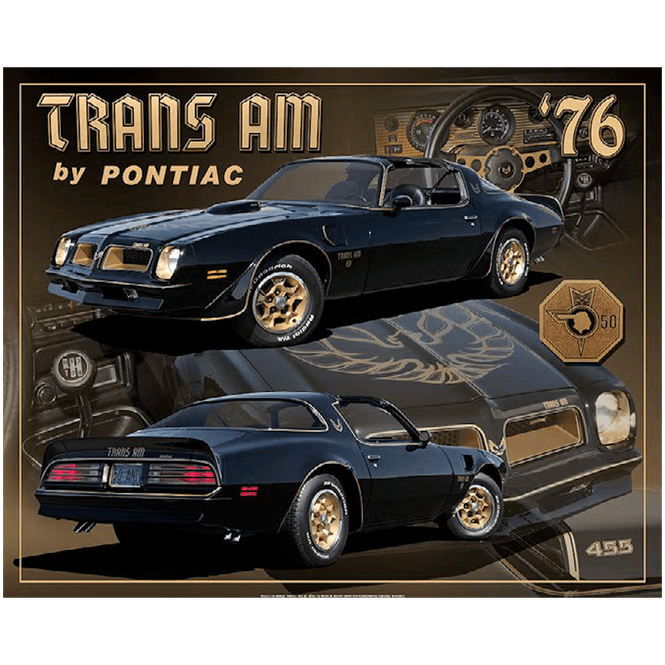 Hovedbilde 1976 Trans Am Black